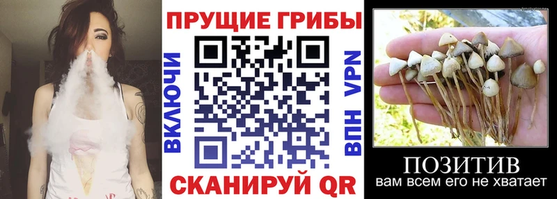 Галлюциногенные грибы ЛСД  где купить наркоту  blacksprut ссылки  Ачхой-Мартан 