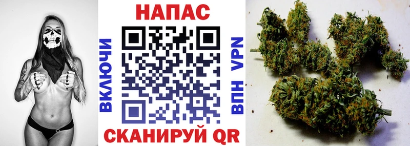 Бошки марихуана индика  наркота  Ачхой-Мартан 